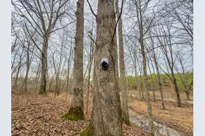 0 Old Shurtz Road, New Plymouth, OH 45654 - Photo 5