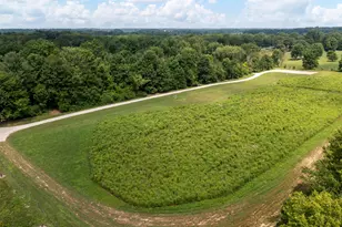 4474 Larue-Prospect Rd S, Prospect, OH 43342 - Photo 89