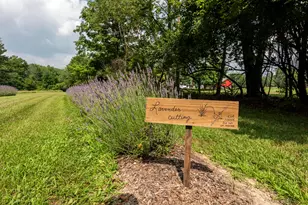 4474 Larue-Prospect Rd S, Prospect, OH 43342 - Photo 71