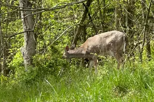 5060 Wheeling Rd NE, Lancaster, OH 43130 - Photo 3