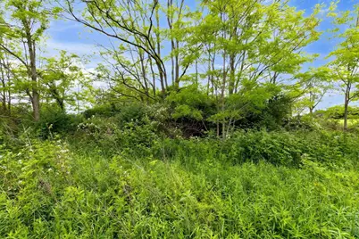 0 Sycamore Road, Centerburg, OH 43011 - Photo 19