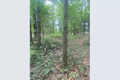 0 Paul Road, Westerville, OH 43082 - Photo 5