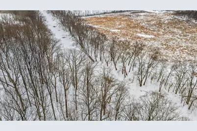 4449 Larue Prospect Road S, Prospect, OH 43342 - Photo 11