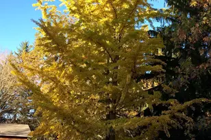 4449 Larue-Prospect Rd S, Prospect, OH 43342 - Photo 49