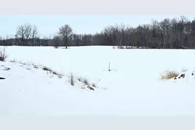 0001 County Road 123, Mount Gilead, OH 43338 - Photo 3