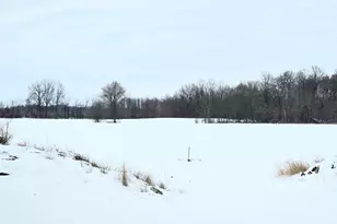 0001 County Road 123, Mount Gilead, OH 43338 - Photo 3