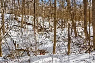 0 Township Road 55 #45.38, Bellefontaine, OH 43311 - Photo 15