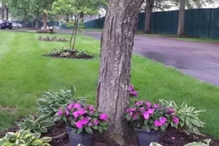 5685 Great Woods Blvd, Columbus, OH 43231 - Photo 31