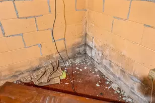 1718 Weiler Ave, Columbus, OH 43207 - Photo 49