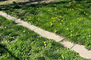 126 W Washington Ave, Marion, OH 43302 - Photo 25