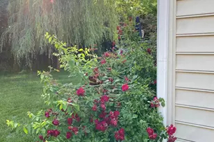 1535 Fairway Dr, Grove City, OH 43123 - Photo 13