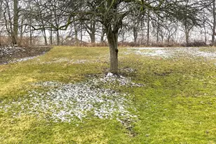 57 Brown St, Milford Center, OH 43045 - Photo 11