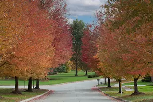 238 Bryn Du Dr, Granville, OH 43023 - Photo 79