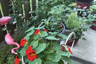 988 Hartford Village Blvd, Columbus, OH 43228 - Photo 29