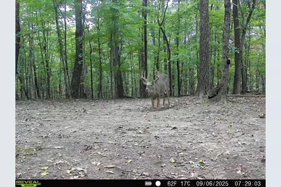 1256 Prussia Road, Waverly, OH 45690 - Photo 91