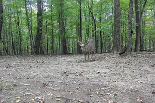 1256 Prussia Rd, Waverly, OH 45690 - Photo 91