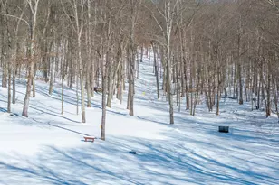 1256 Prussia Rd, Waverly, OH 45690 - Photo 83