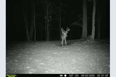 1256 Prussia Road, Waverly, OH 45690 - Photo 89