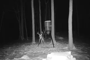 1256 Prussia Rd, Waverly, OH 45690 - Photo 95