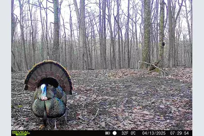 1256 Prussia Road, Waverly, OH 45690 - Photo 97