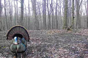 1256 Prussia Rd, Waverly, OH 45690 - Photo 97