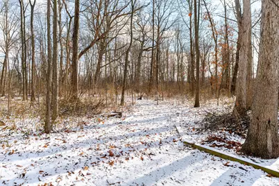 4959 Smothers Road, Westerville, OH 43081 - Photo 19