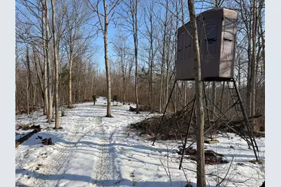 9268 State Route 41, Aberdeen, OH 45101 - Photo 35