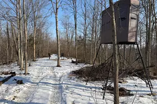 9268 State Rte 41, Aberdeen, OH 45101 - Photo 35