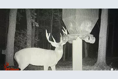 9268 State Route 41, Aberdeen, OH 45101 - Photo 73