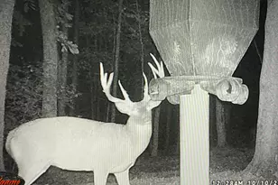 9268 State Rte 41, Aberdeen, OH 45101 - Photo 73