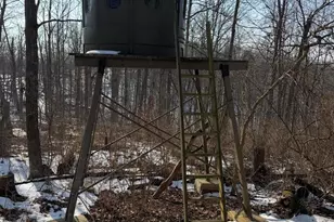 9268 State Rte 41, Aberdeen, OH 45101 - Photo 55