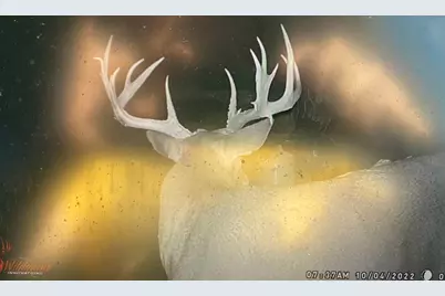 9268 State Route 41, Aberdeen, OH 45101 - Photo 71