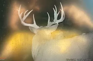 9268 State Rte 41, Aberdeen, OH 45101 - Photo 71