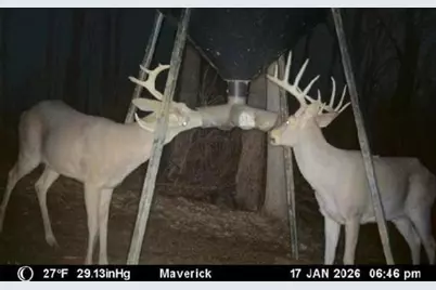 9268 State Route 41, Aberdeen, OH 45101 - Photo 75