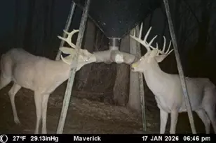 9268 State Rte 41, Aberdeen, OH 45101 - Photo 75