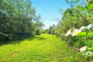 7595 Co Rd 19, Fredericktown, OH 43019 - Photo 9