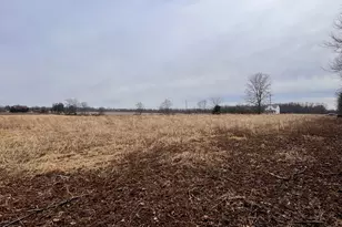 0 Township Rd 145 Lot A, Edison, OH 43320 - Photo 3