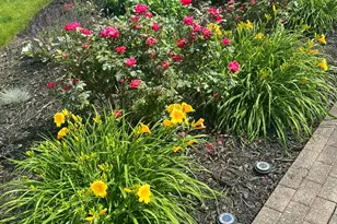 12766 Ardine Ct, Pickerington, OH 43147 - Photo 41