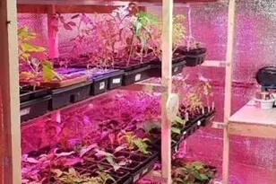 450 State Route 314, Centerburg, OH 43011 - Photo 35