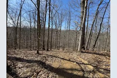 7459 Township Rd 215-A SE #(Tract 5 at Shawnee Woods), Corning, OH 43730 - Photo 33