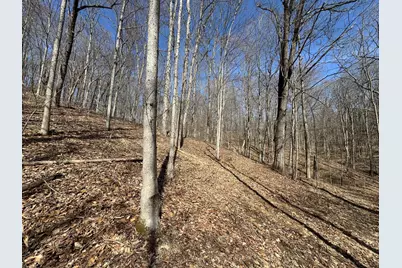 7459 Township Rd 215-A SE #(Tract 5 at Shawnee Woods), Corning, OH 43730 - Photo 35
