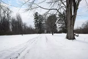 6828 Bevelhymer Rd, New Albany, OH 43054 - Photo 13