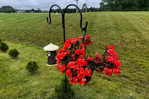 1585 Nettle Ct, Sunbury, OH 43074 - Photo 31