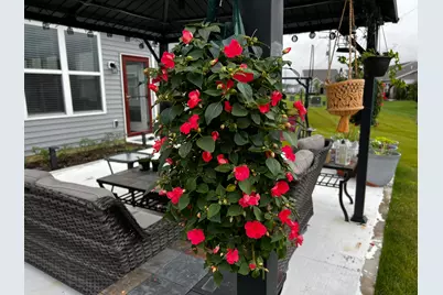 1585 Nettle Court, Sunbury, OH 43074 - Photo 33