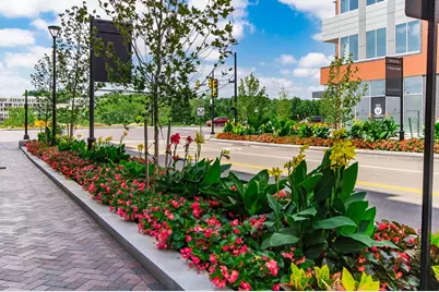 4186 McCune Avenue, Dublin, OH 43017 - Photo 45