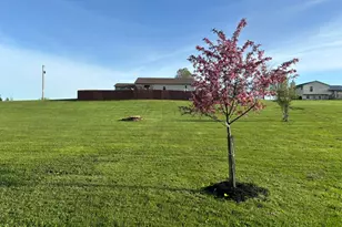 6075 Township Road 107, Mount Gilead, OH 43338 - Photo 59