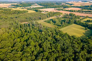 6161 Co Rd 191, Marengo, OH 43334 - Photo 9