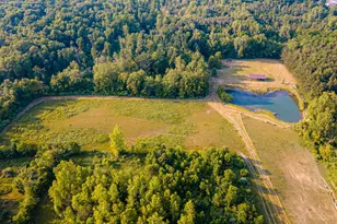 6161 Co Rd 191, Marengo, OH 43334 - Photo 3