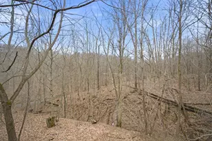 28930 Big Pine Rd, Logan, OH 43138 - Photo 75