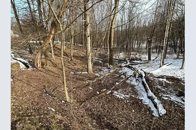 0 Crestrose Drive, Howard, OH 43028 - Photo 1